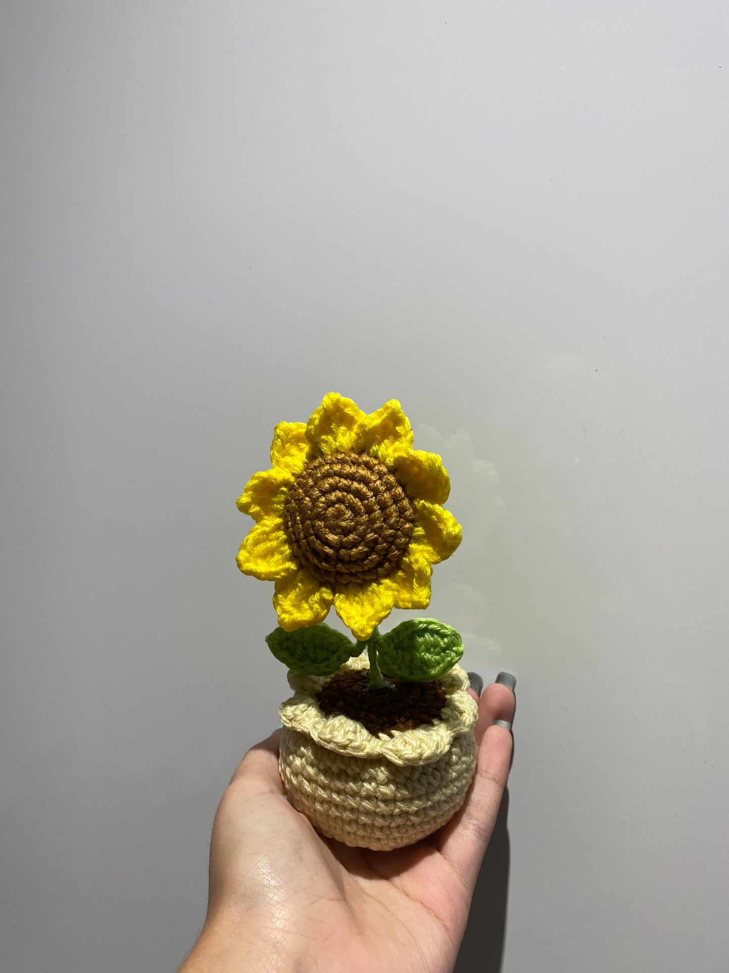 Sunflower Pot
