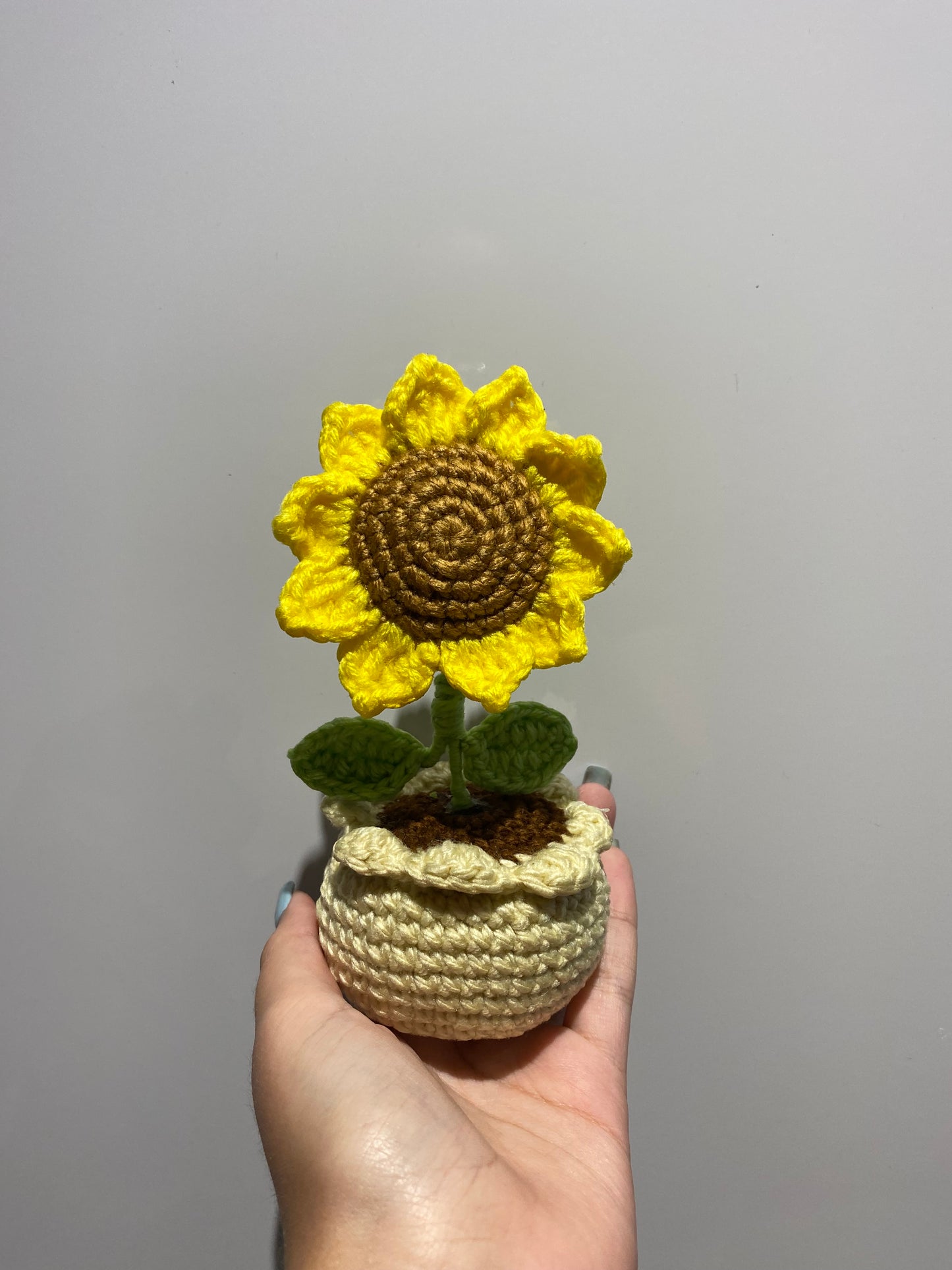 Sunflower Pot