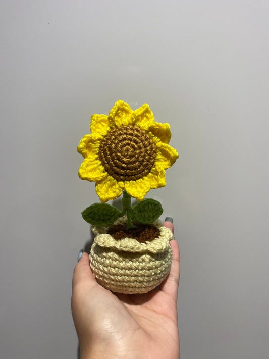 Sunflower Pot