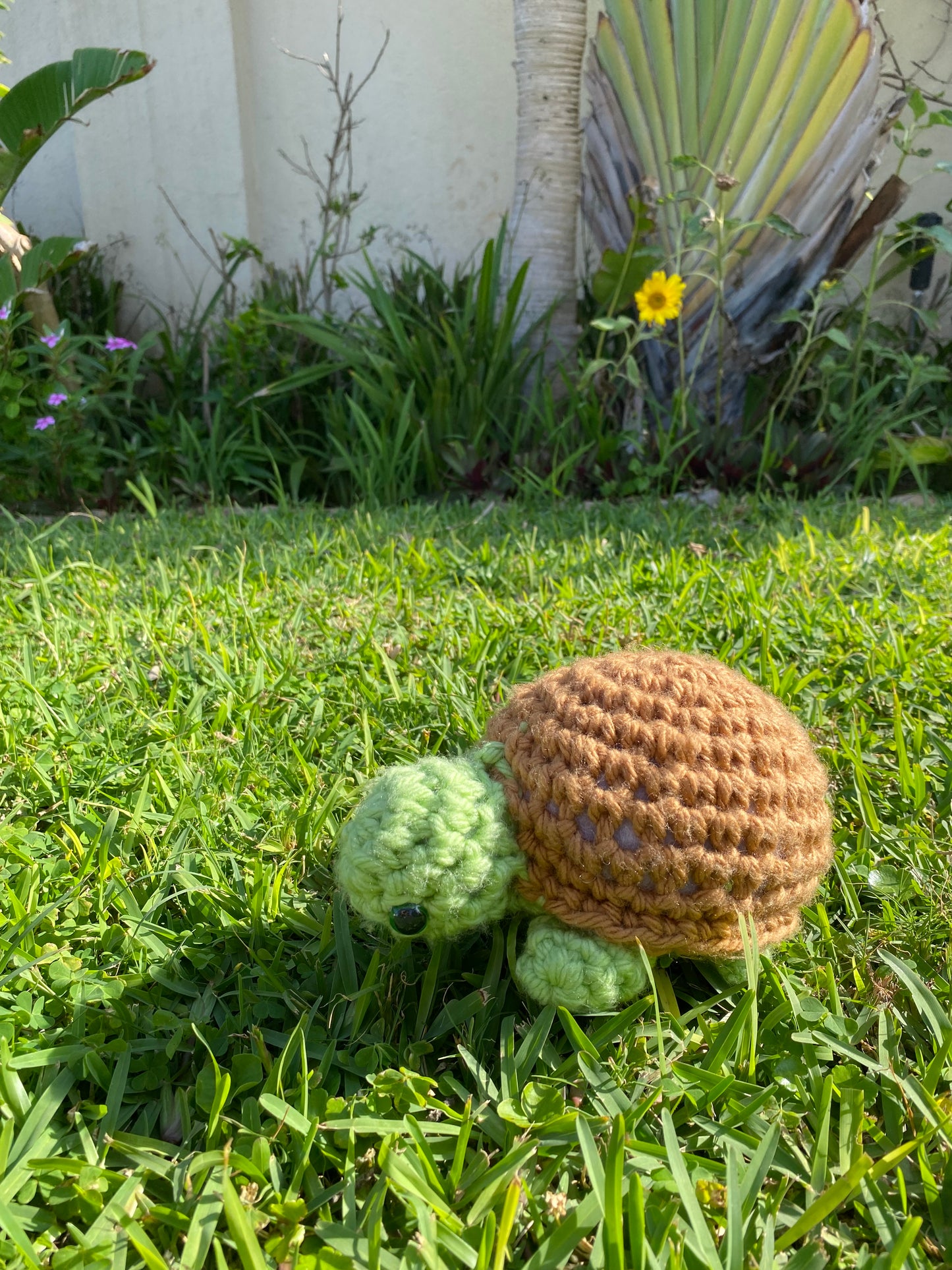 Crochet Turtle