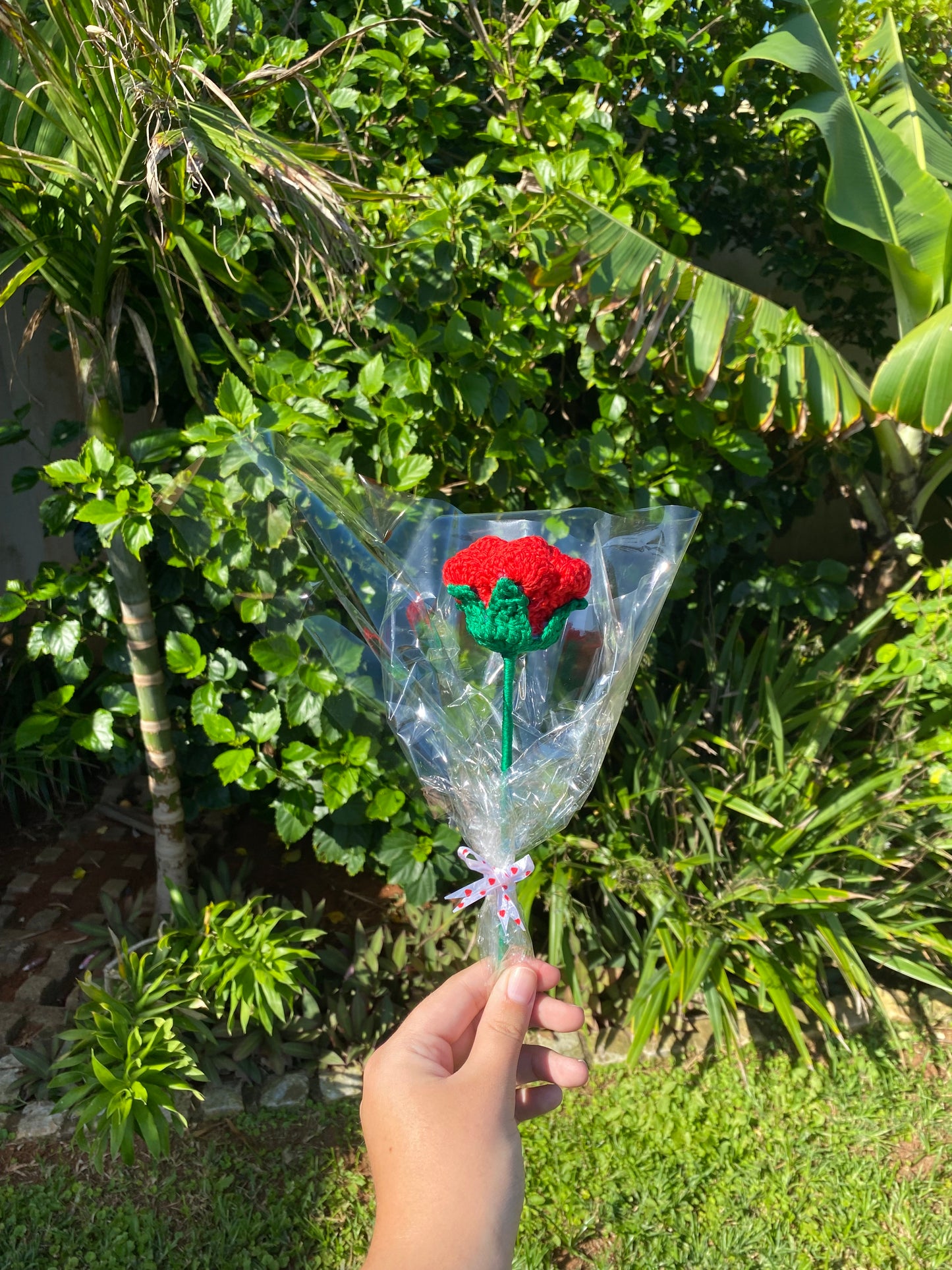 Single Rose