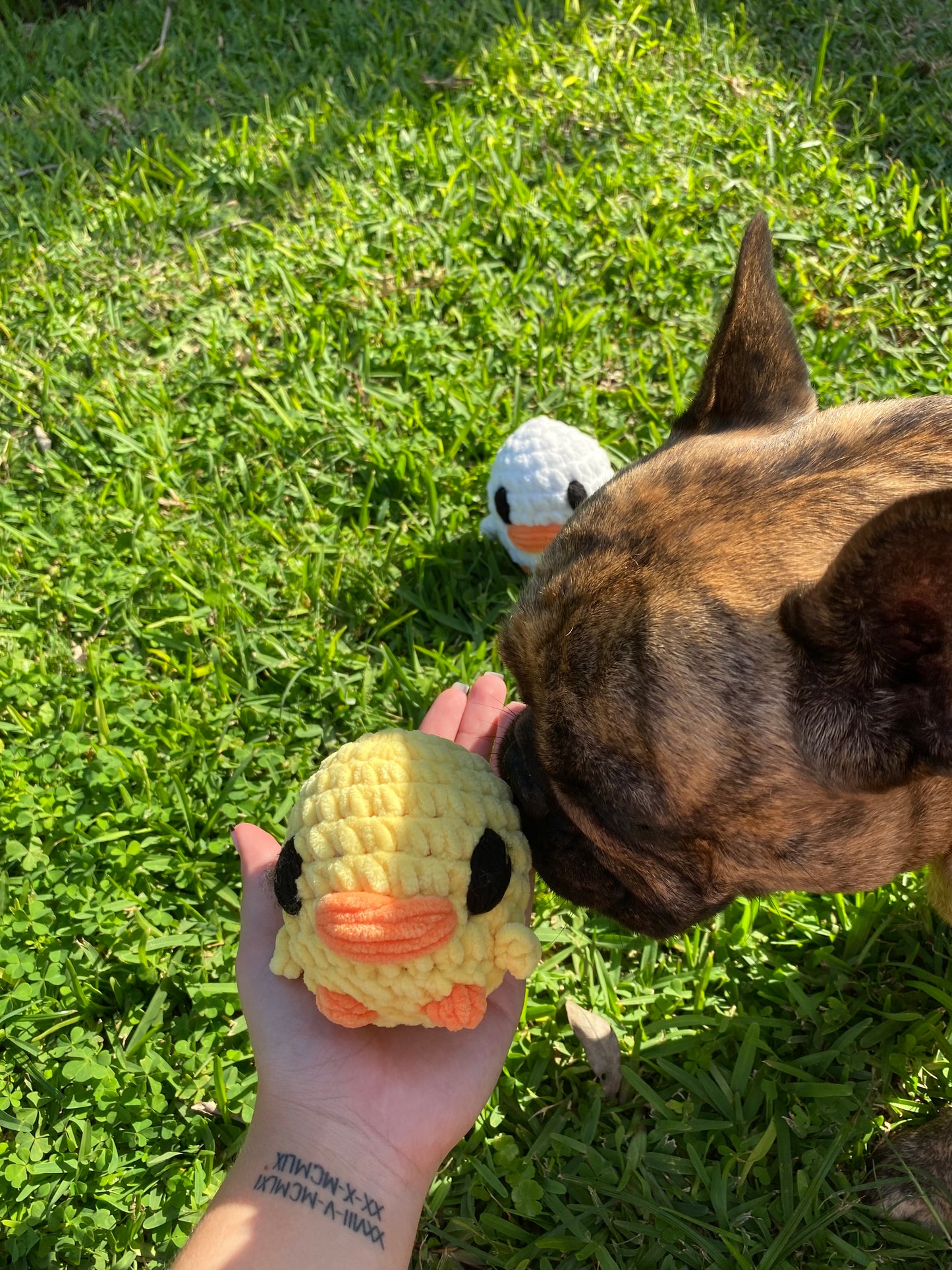 Crochet Ducks