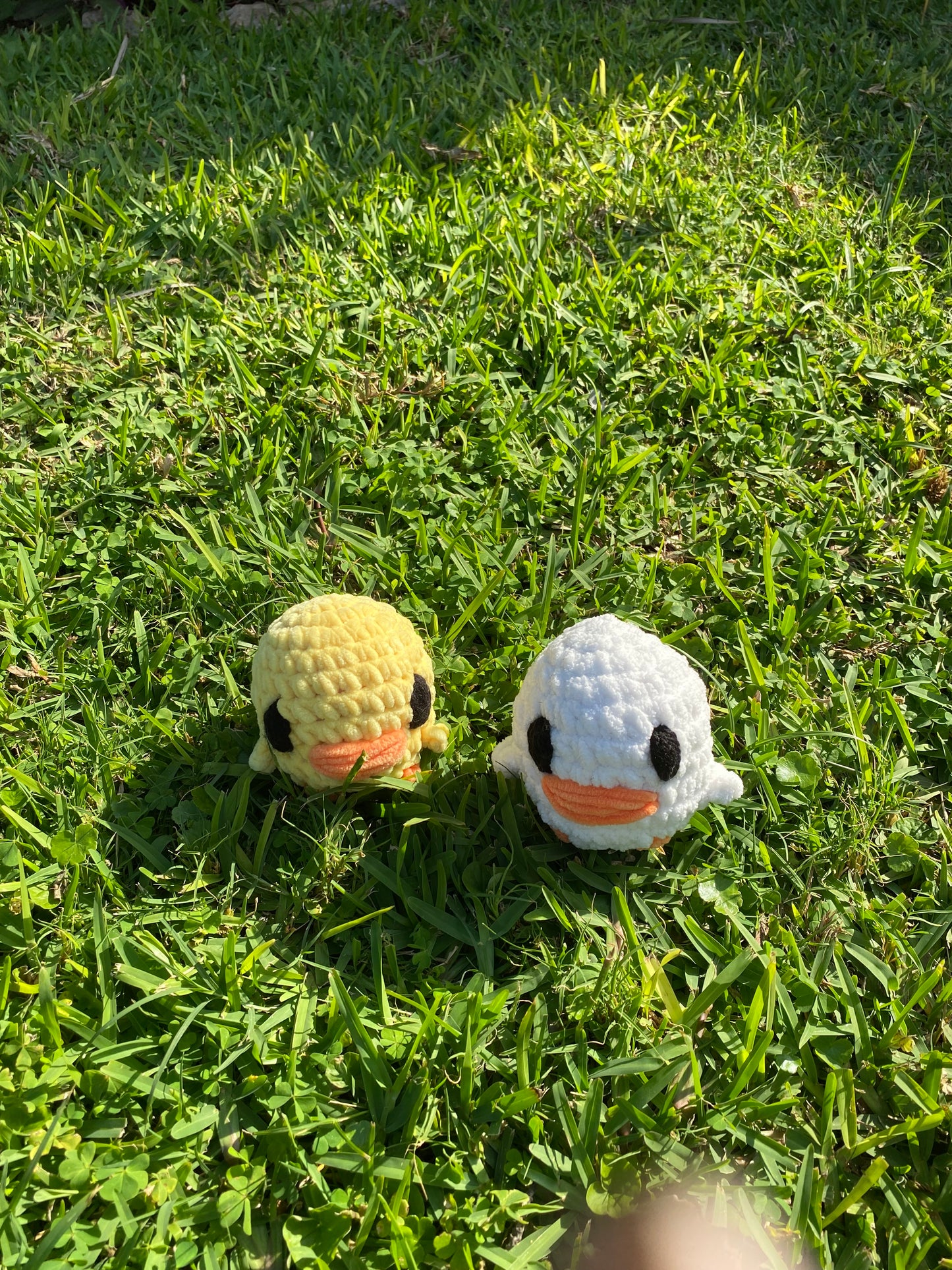 Crochet Ducks