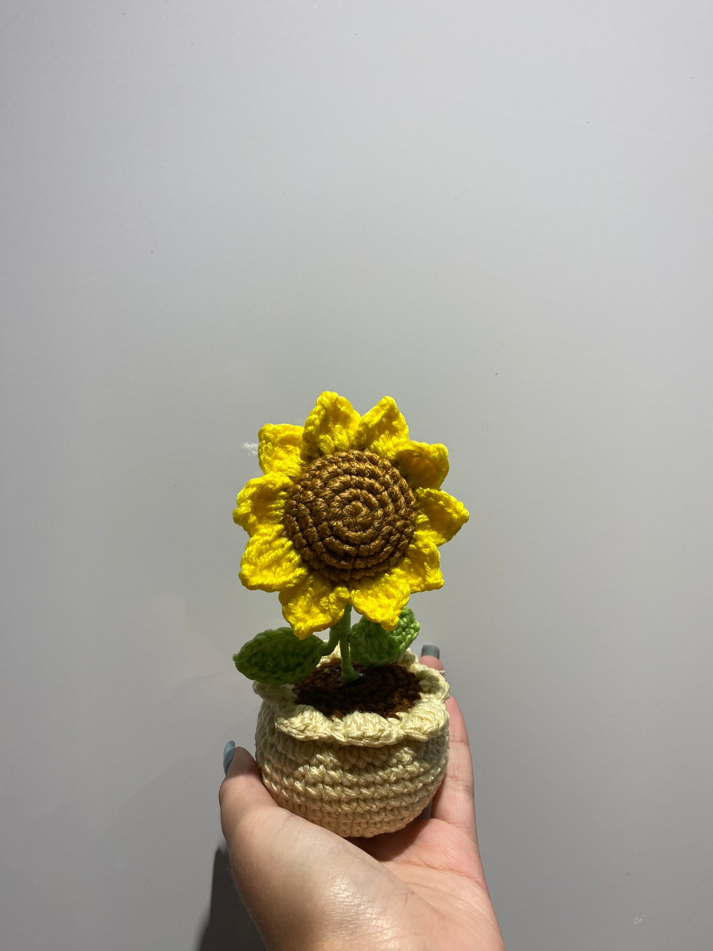 Sunflower Pot