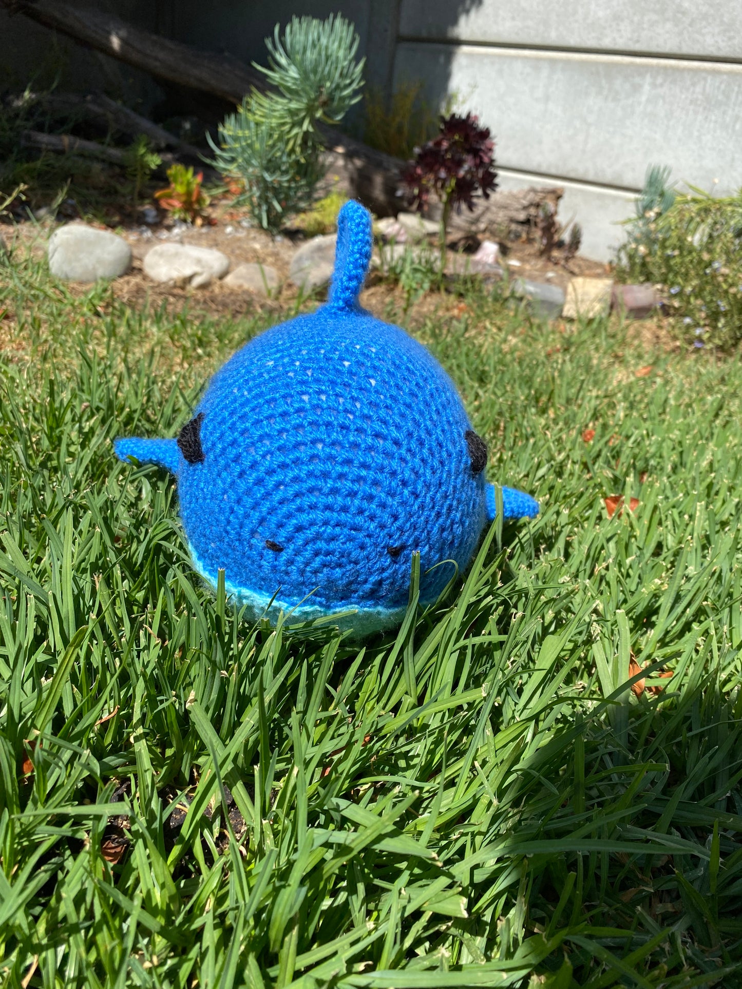 Crochet Shark