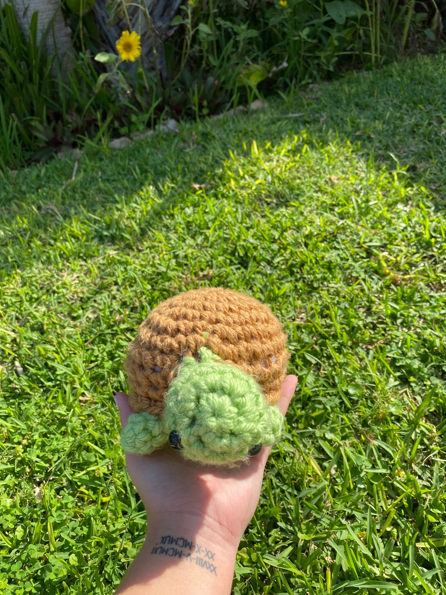 Crochet Turtle