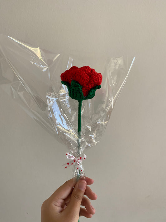 Single Rose