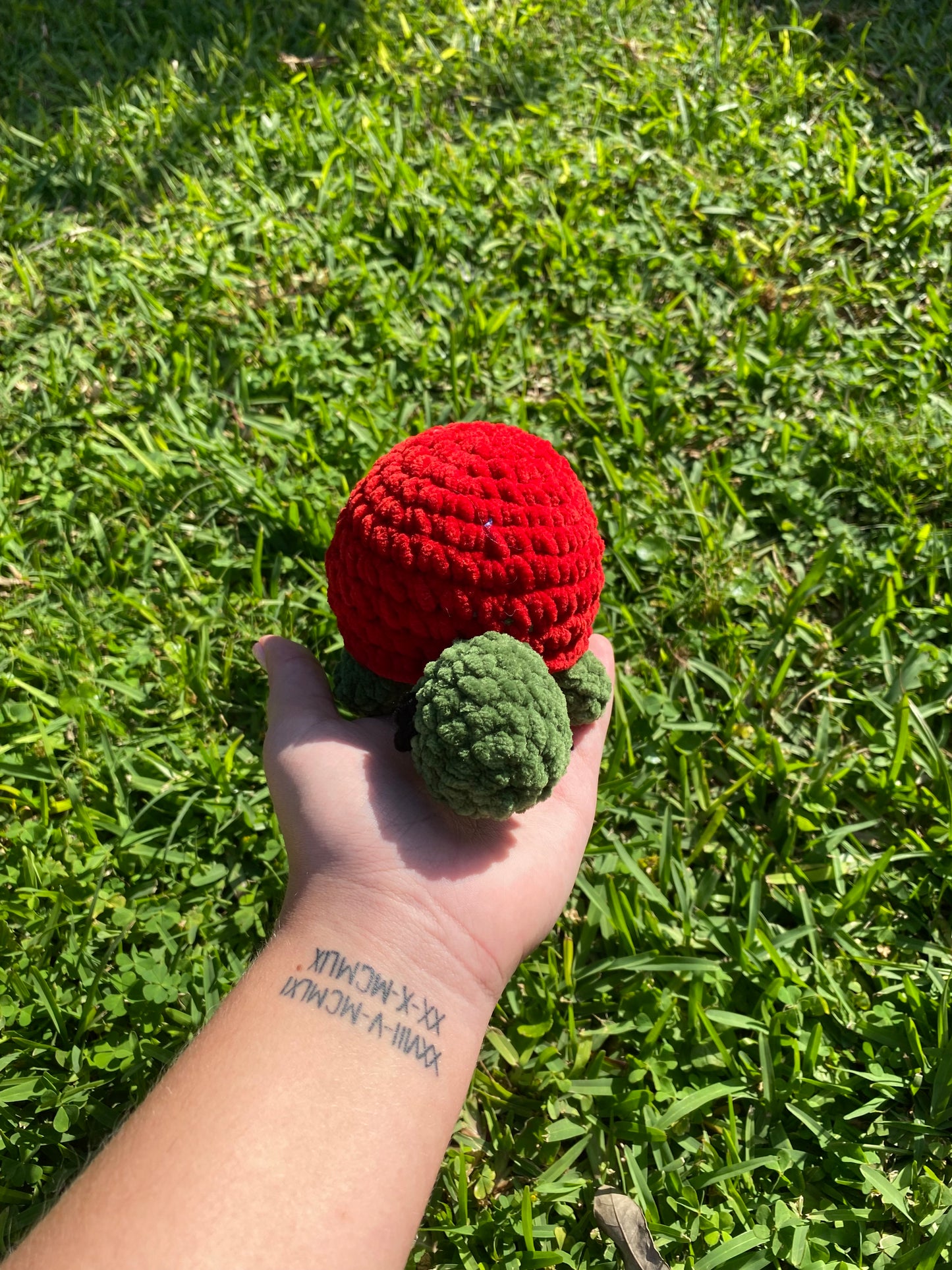 Crochet Turtle