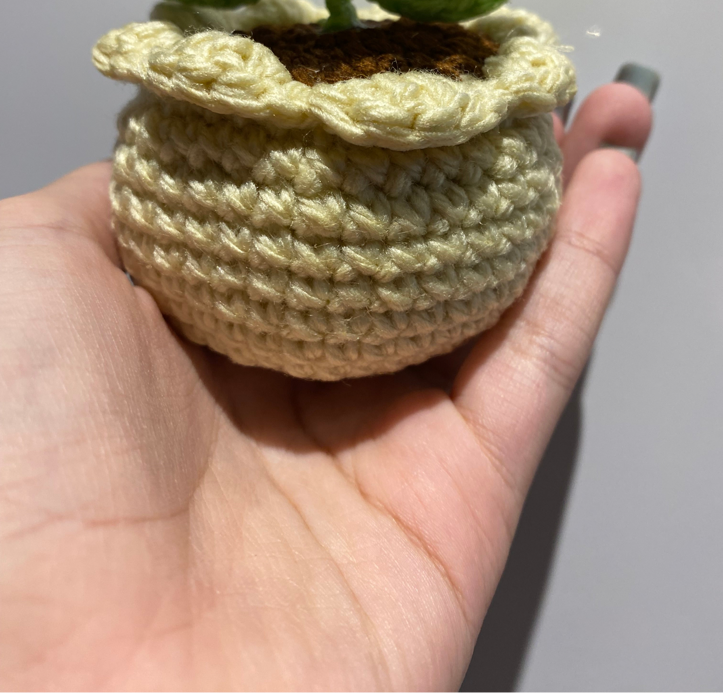 Sunflower Pot
