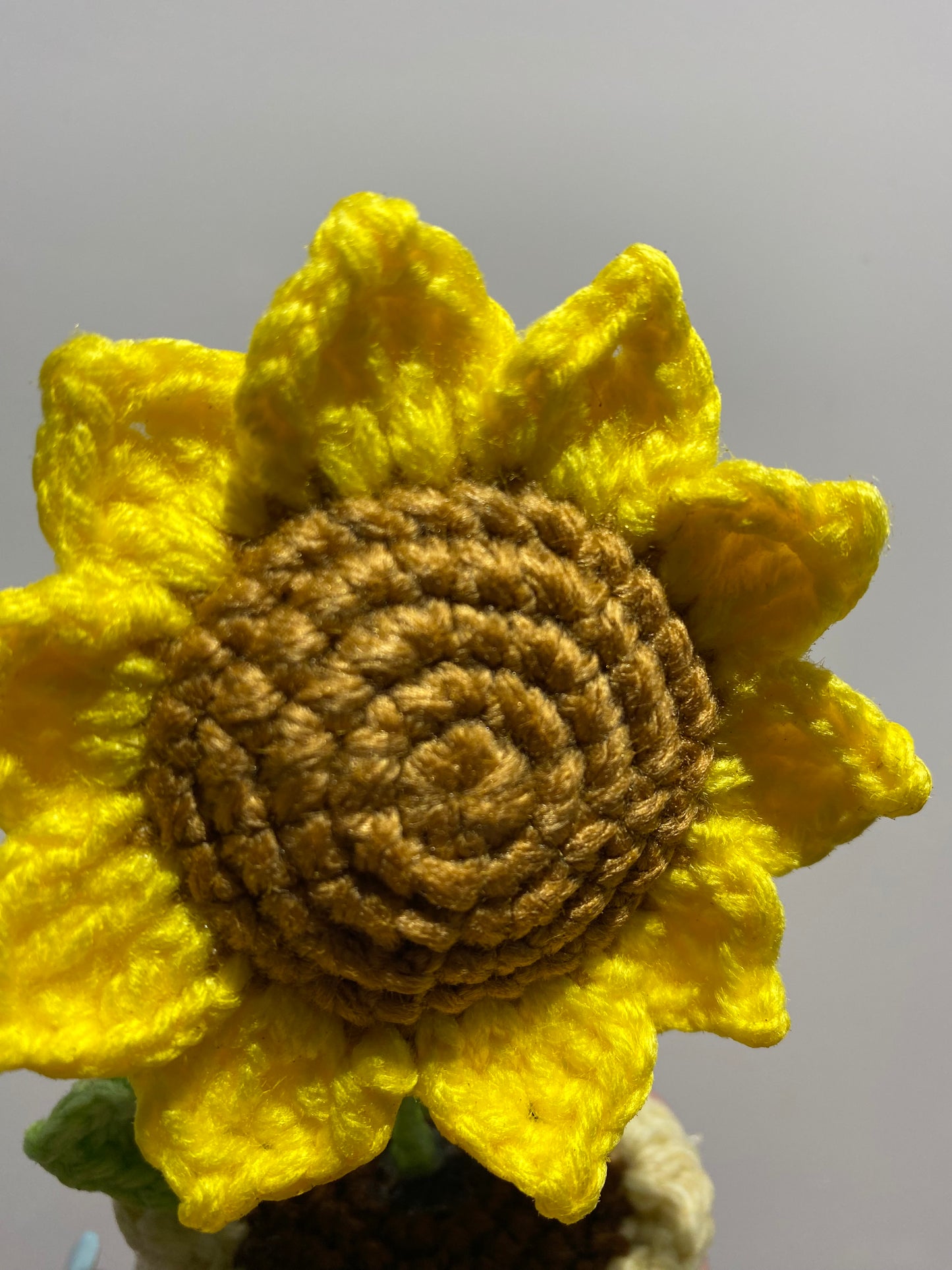 Sunflower Pot