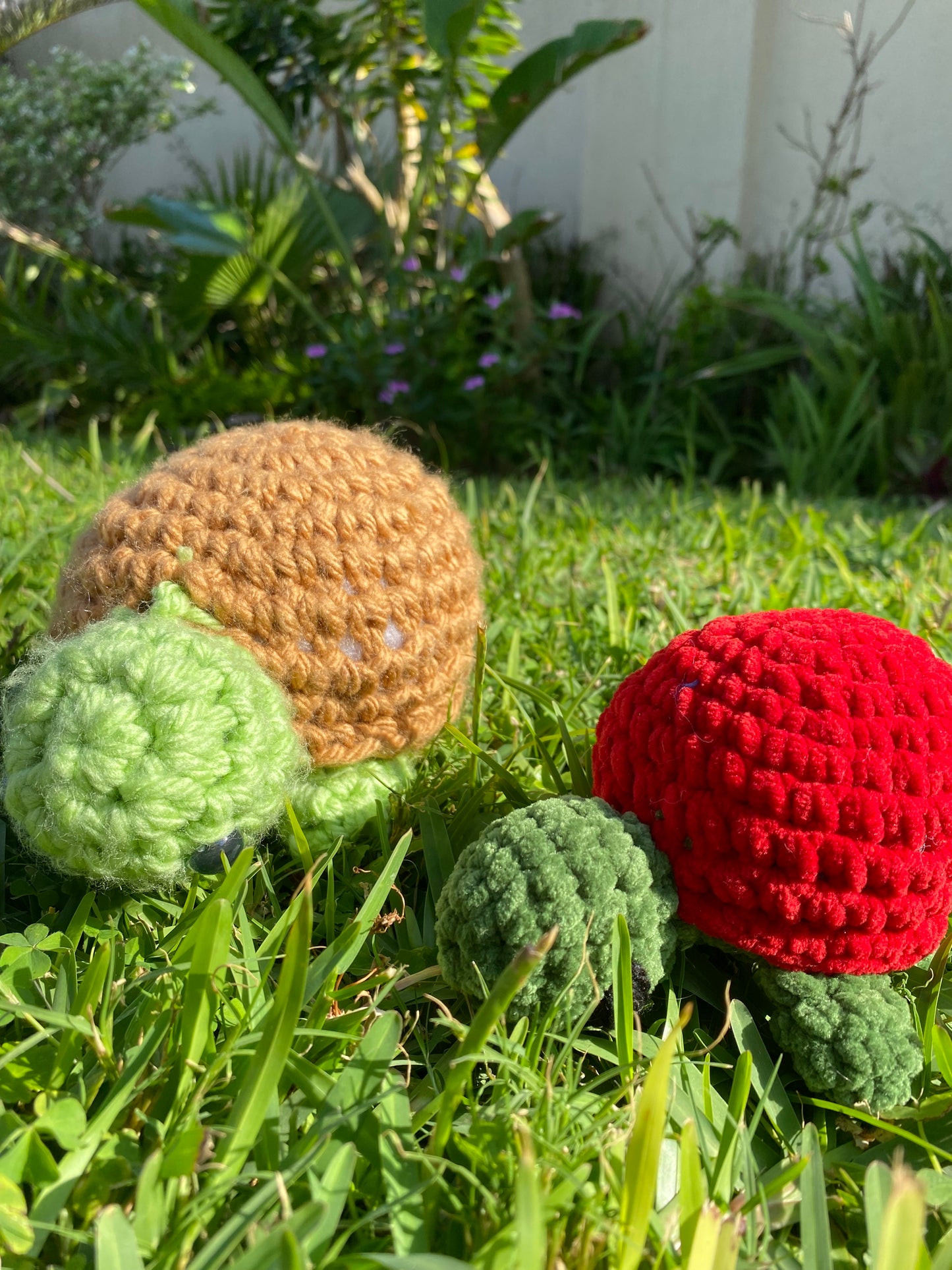 Crochet Turtle