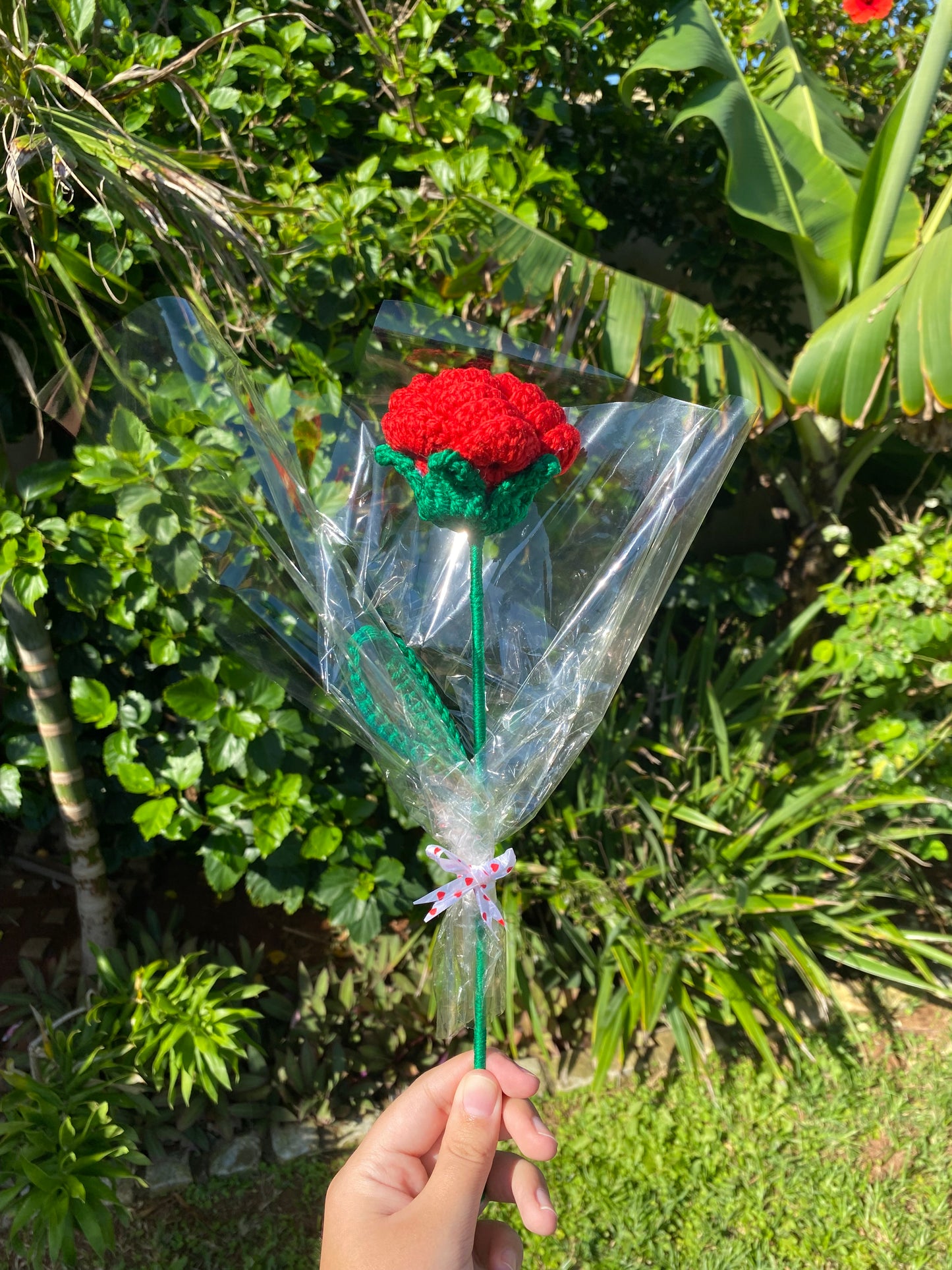 Single Rose