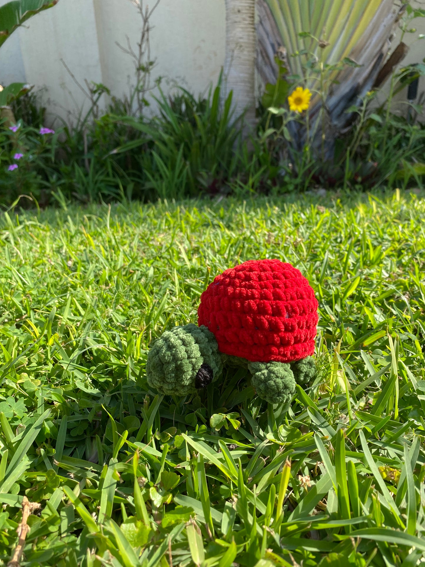 Crochet Turtle